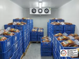 Mengapa Banyak Bisnis HoReCa Rugi Diam-Diam Karena Sistem Penyimpanan Dingin yang Salah?